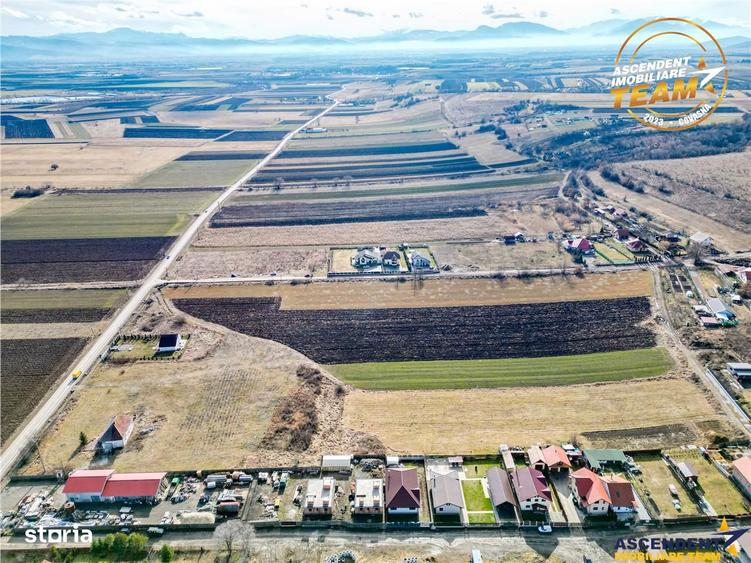 Teren de 31605 mp, în Ilieni