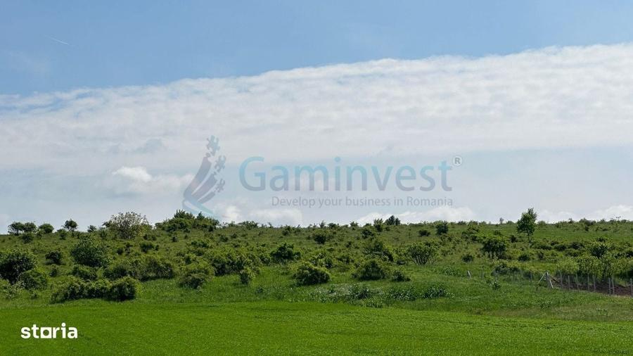 Teren Extravilan zona Episcopia,Oradea, judetul Bihor,Gaminvest,V3160B - 4