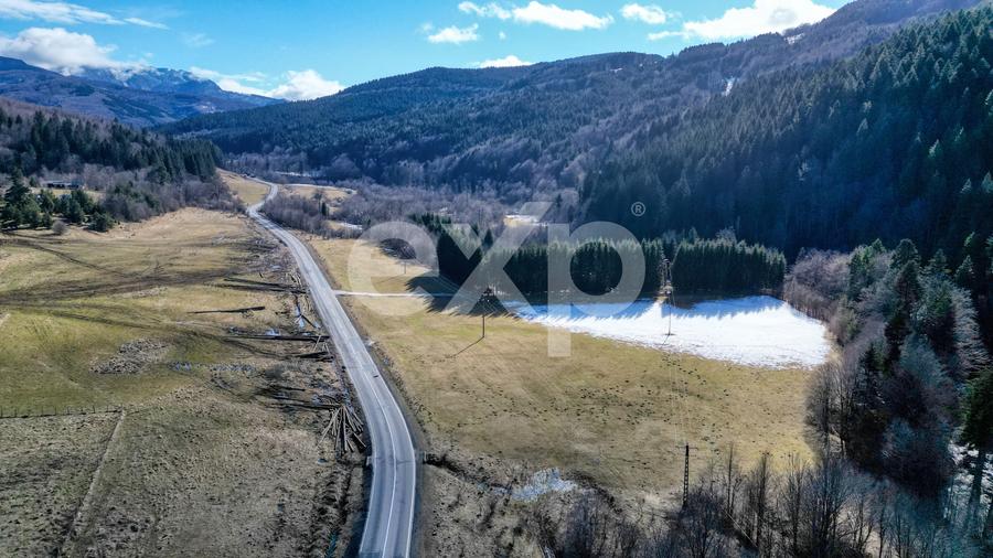 Teren Construcții extravilan de 19200 mp, în Brădet