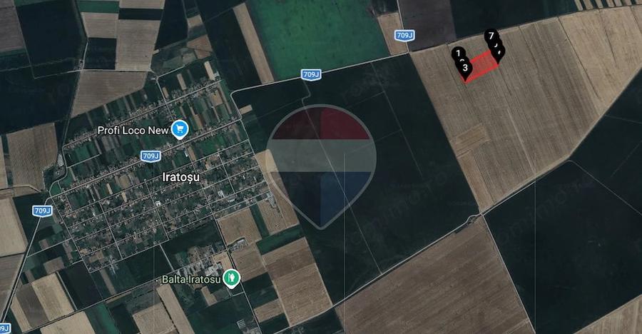 Teren agricol 46.300 mp in Curtici | Venit anual din arenda - 5