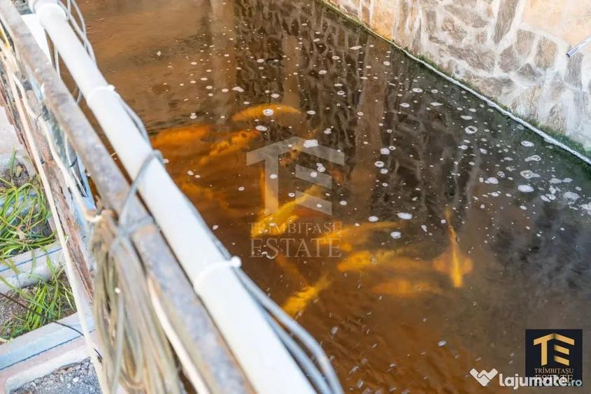 Casă cu 6 camere cu Teren 343 Mp în Central