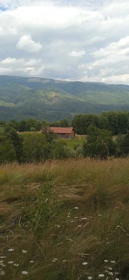 Teren de 40000 mp, în Nucșoara