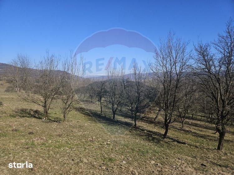 Teren de 4627 mp, în Bârsana