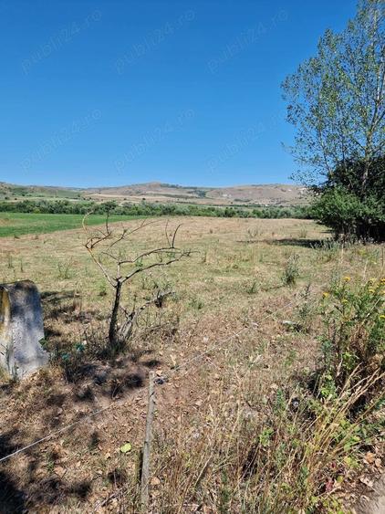 Teren de 2800 mp, în Iara