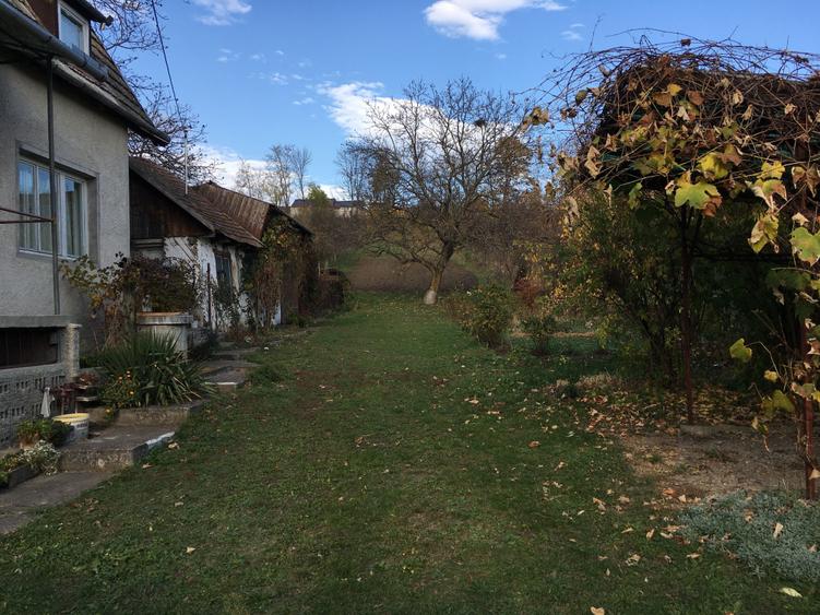 Spațiu comercial, în Central