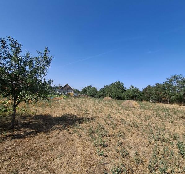 Teren Construcții de 1500 mp, în Călacea