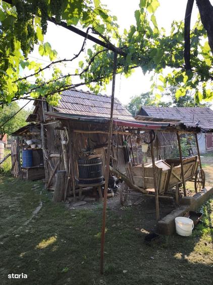 Casă cu 5 camere cu Teren 4000 Mp în Central