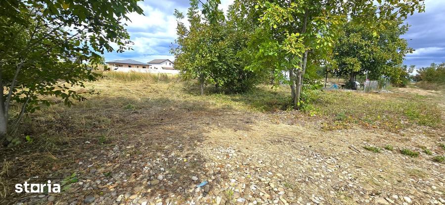 Teren intravilan Manastirea, Buftea, 500mp sau 877mp, 0% comision - 1