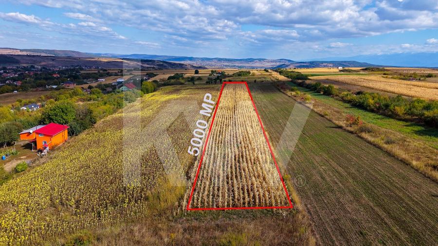 Teren agricol extravilan de 5000 mp, în Daia