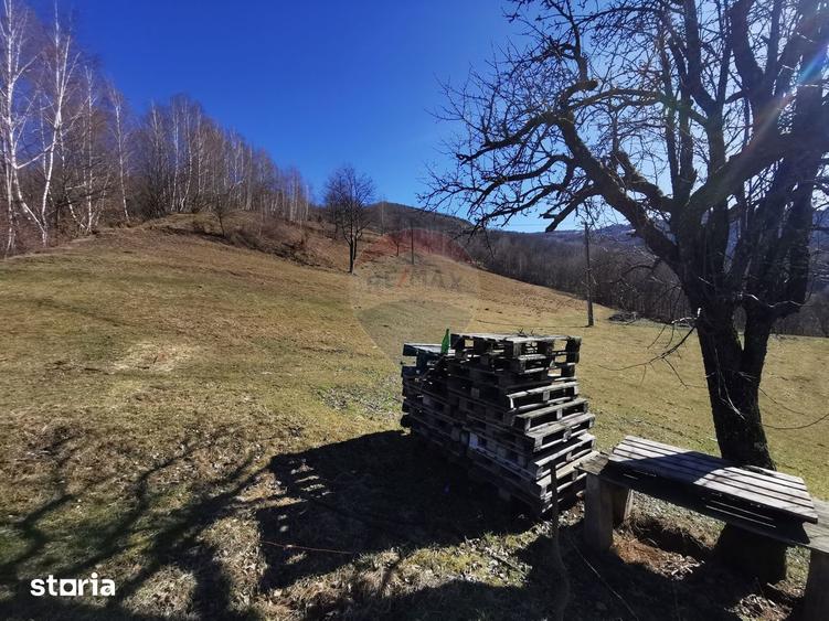Teren de 10100 mp, în Bulz