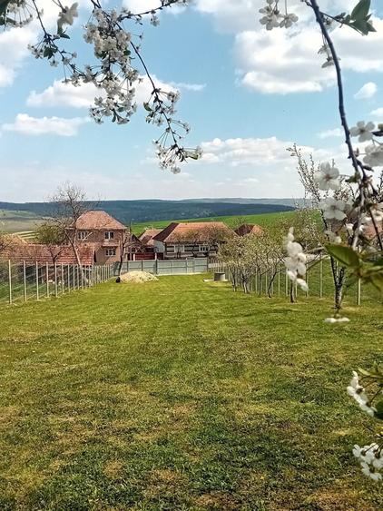 Teren de 1100 mp, în Hidiș