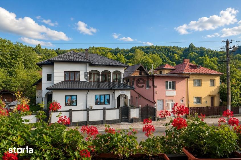 Vila monument istoric in Slanic | Poten?ial turistic & business - 8