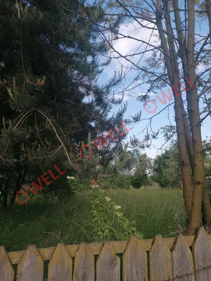 Teren Construcții intravilan de 8079 mp, în Târgu Secuiesc