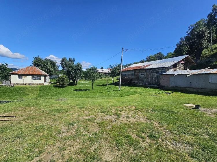 Teren de 9000 mp, în Șotrile