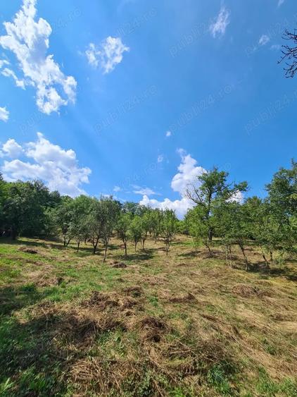 Teren de 3900 mp, în Central