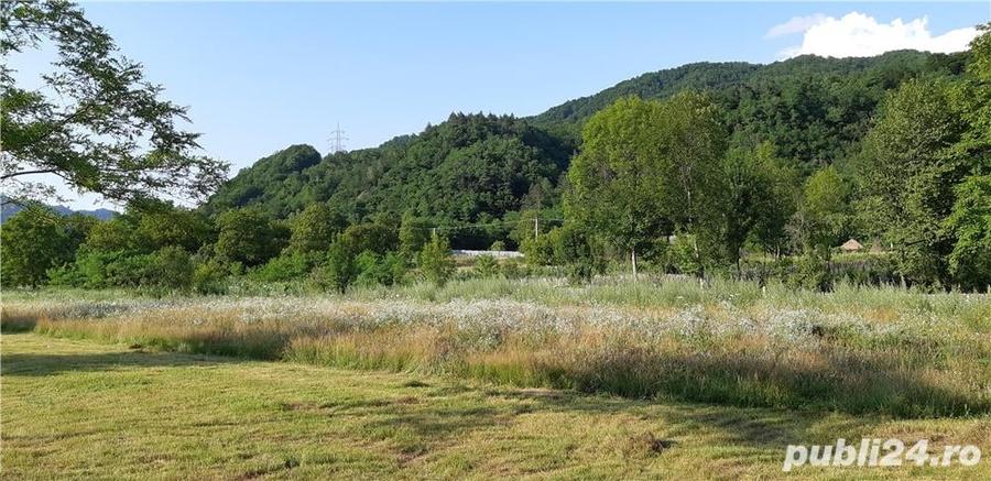 Teren de 4150 mp, în Drăgănești (Brezoi)