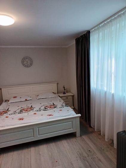 Casă cu 3 camere cu Teren 9000 Mp în Ludași