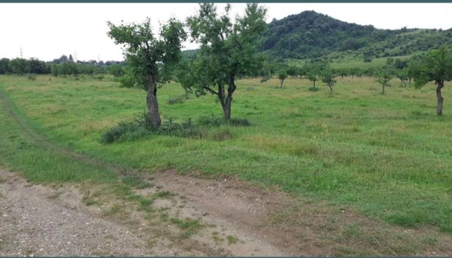 Teren extravilan de 15000 mp, în Filipeștii de Pădure