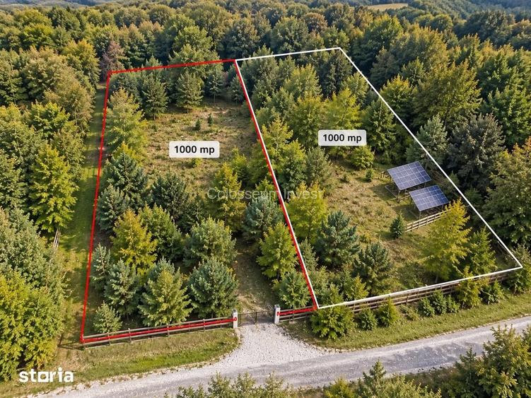 Teren 1.000 mp | Poten?ial pentru cabana | Geamana zona Codlea