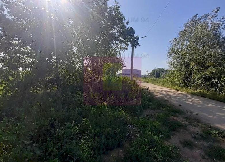 Teren de 5000 mp, în Copăceni