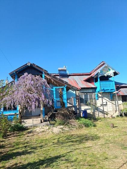 Casa de vanzare zona Negrasi jud Arges - 3