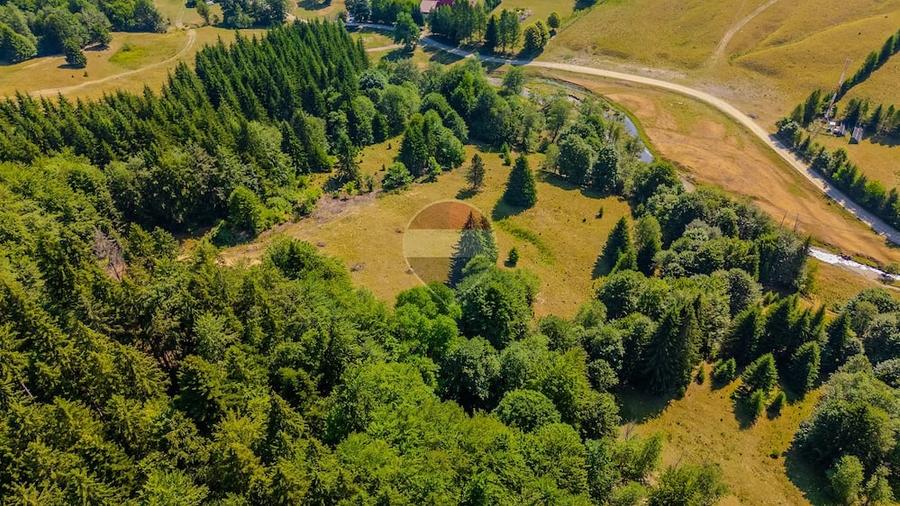 Teren de 6000 mp, în Dălghiu
