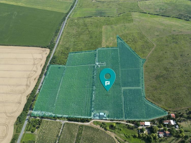Teren agricol extravilan de 80000 mp, în Covăsinț