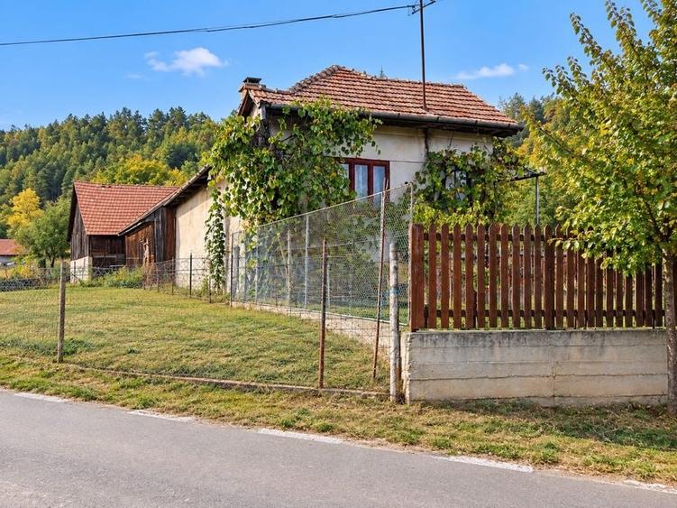 Casă cu 2 camere în Căpușu Mare