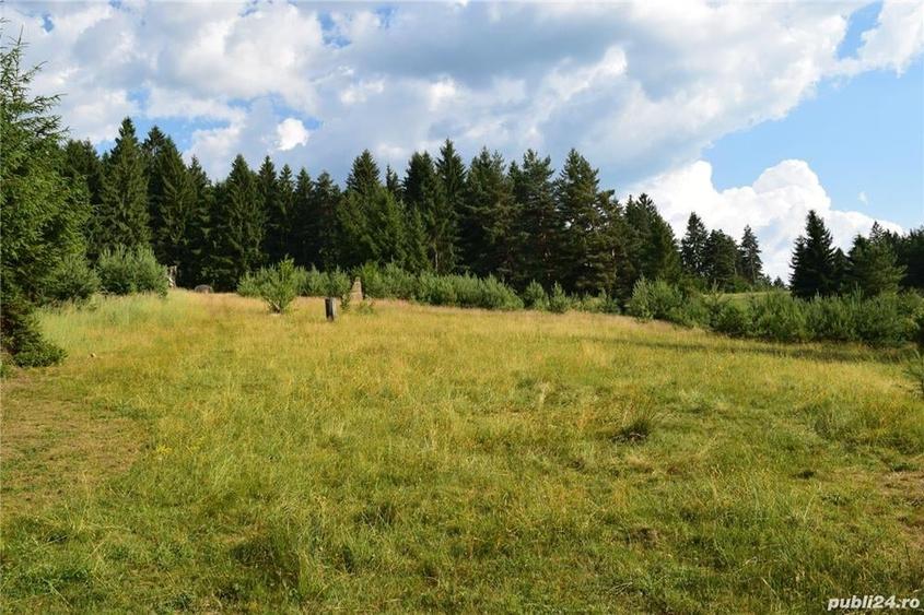 Teren de 575 mp, în Central