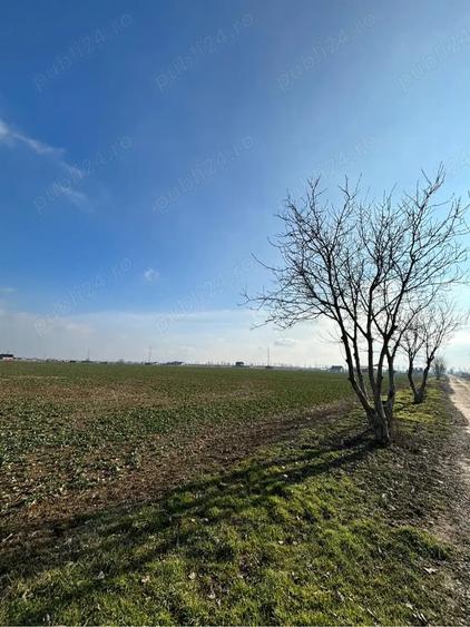 Teren de 500 mp, în Giroc