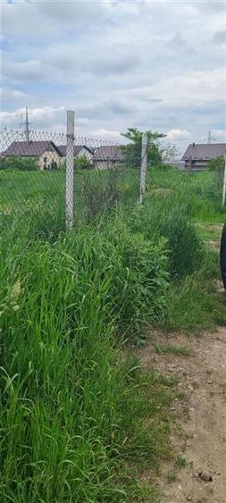 Teren intravilan de 6800 mp, în Sfântu Ilie