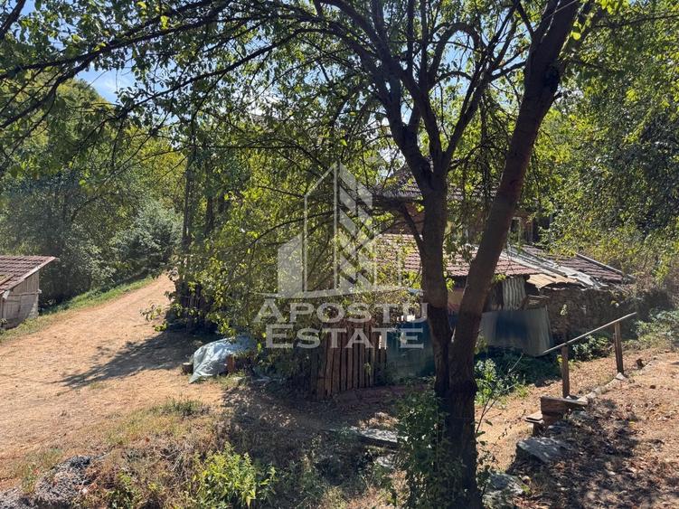 Casa batraneasca renovata, iesire la rau, in Toplita, Hunedoara - 30