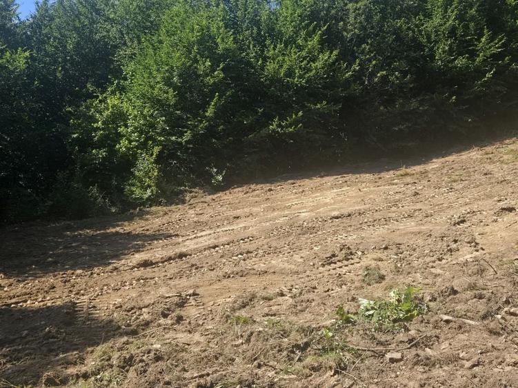 Teren de 2000 mp, în Teșila