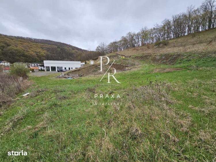 EXCLUSIVITATE! Teren de vanzare, 5.000 mp+ Restaurant mobilat si utila - 9