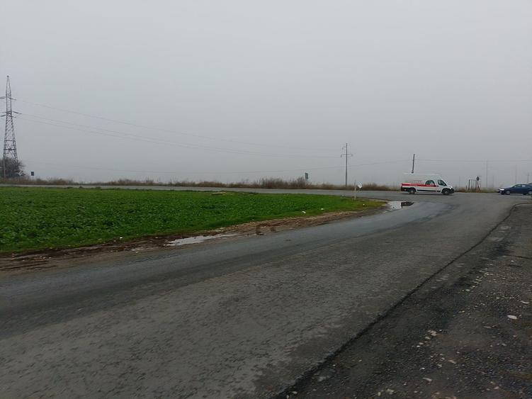 Teren Construcții intravilan de 10000 mp, în Lumina