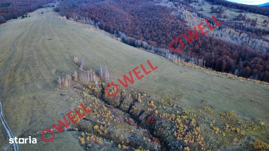 Teren de 126700 mp, în Bățani