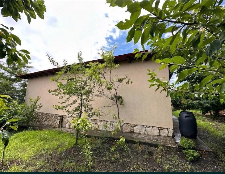 Casă cu 4 camere cu Teren 1700 Mp în Pietroasele