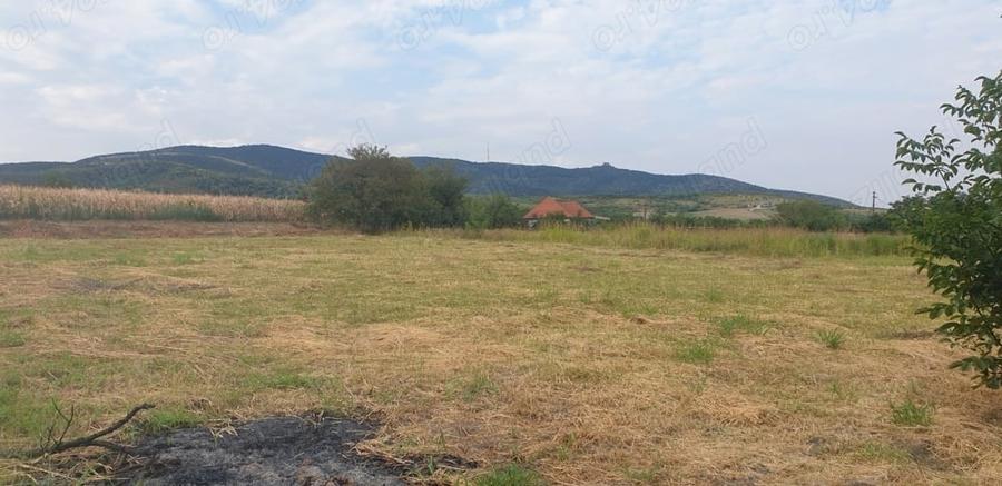 Teren de 2200 mp, în Mâsca