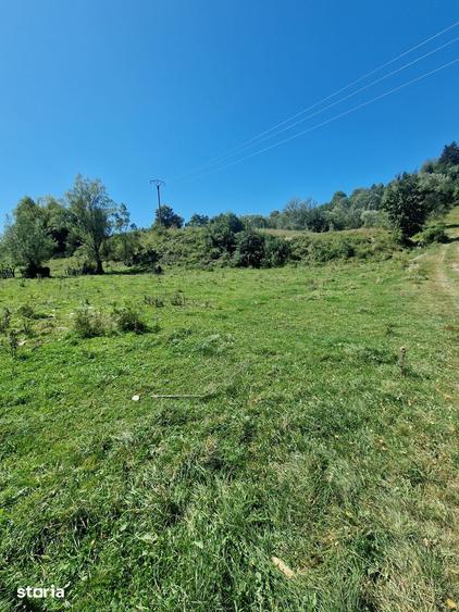 Teren de 17940 mp, în Vama