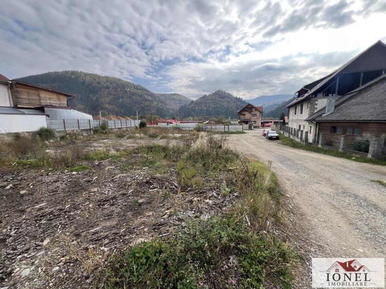 Teren Construcții intravilan de 4439 mp, în Bistra