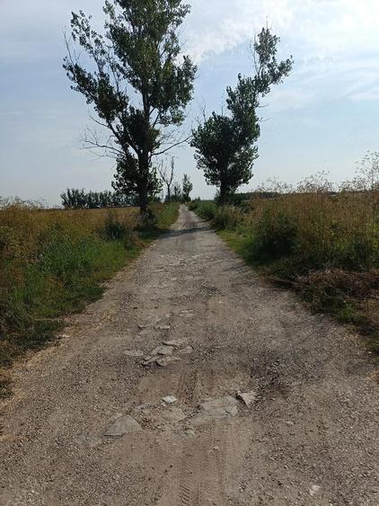 Vand teren 1000m - 2