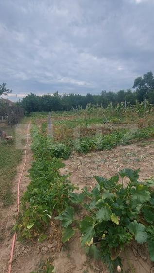 Casă individuală cu 2 camere cu Teren 1800 Mp în Viile Satu Mare