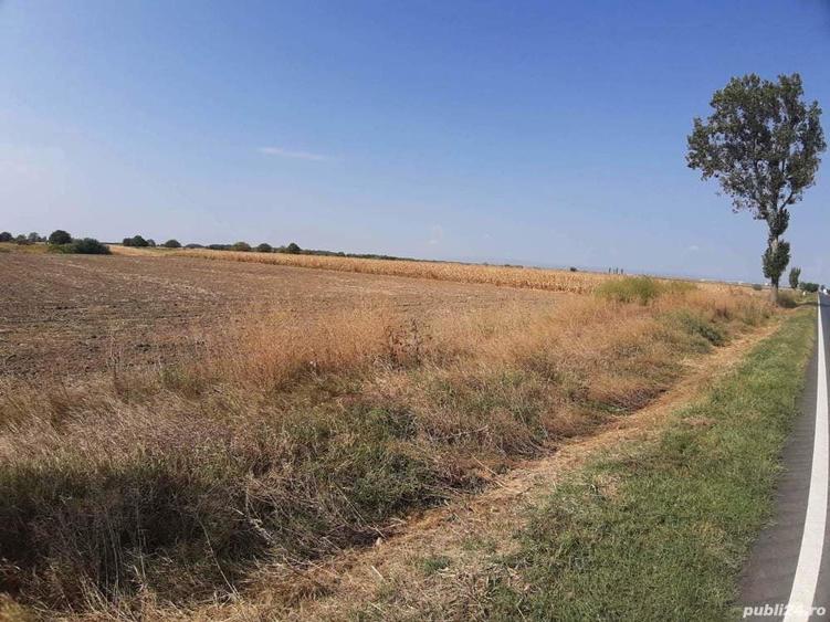 Teren de 5000 mp, în Central