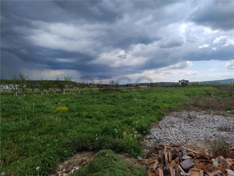 Teren de 1000 mp, în Paleu