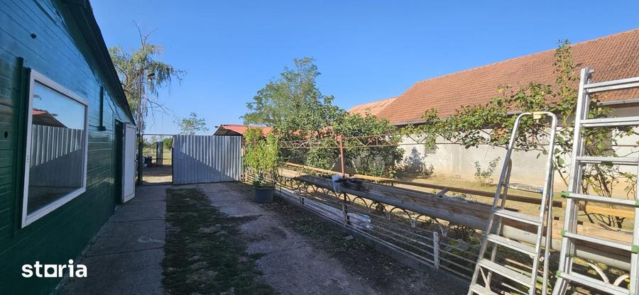 Casă cu 6 camere cu Teren 5766 Mp în Variaș