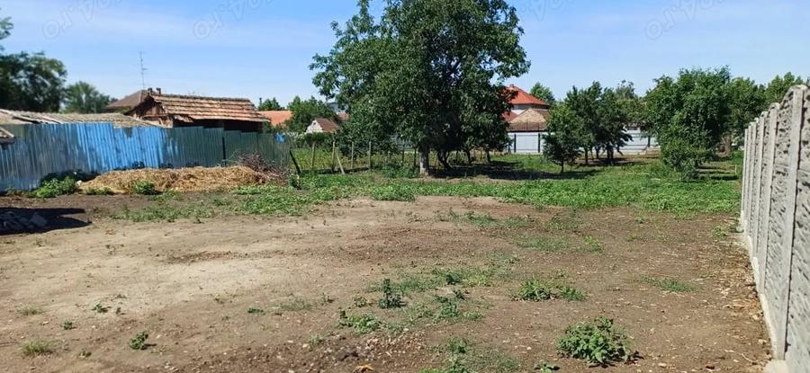 Teren de 1500 mp, în Central