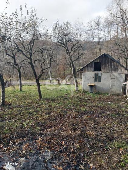 Teren Construcții intravilan de 2200 mp, în Râu Alb de Sus
