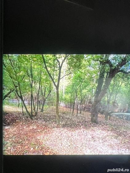 Casă cu 4 camere cu Teren 1800 Mp în Bârsoiu