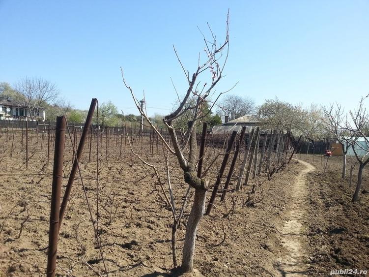 Casă cu 3 camere în Bugeac