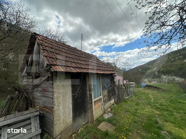 Casă cu 4 camere cu Teren 12186 Mp în Rapoltu Mare